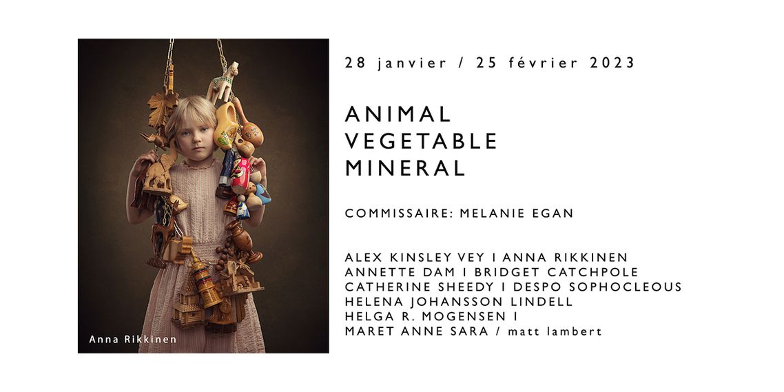 Annette Dam - Animal Vegetable Mineral Galerie Noel Guyomarch Toronto 2023